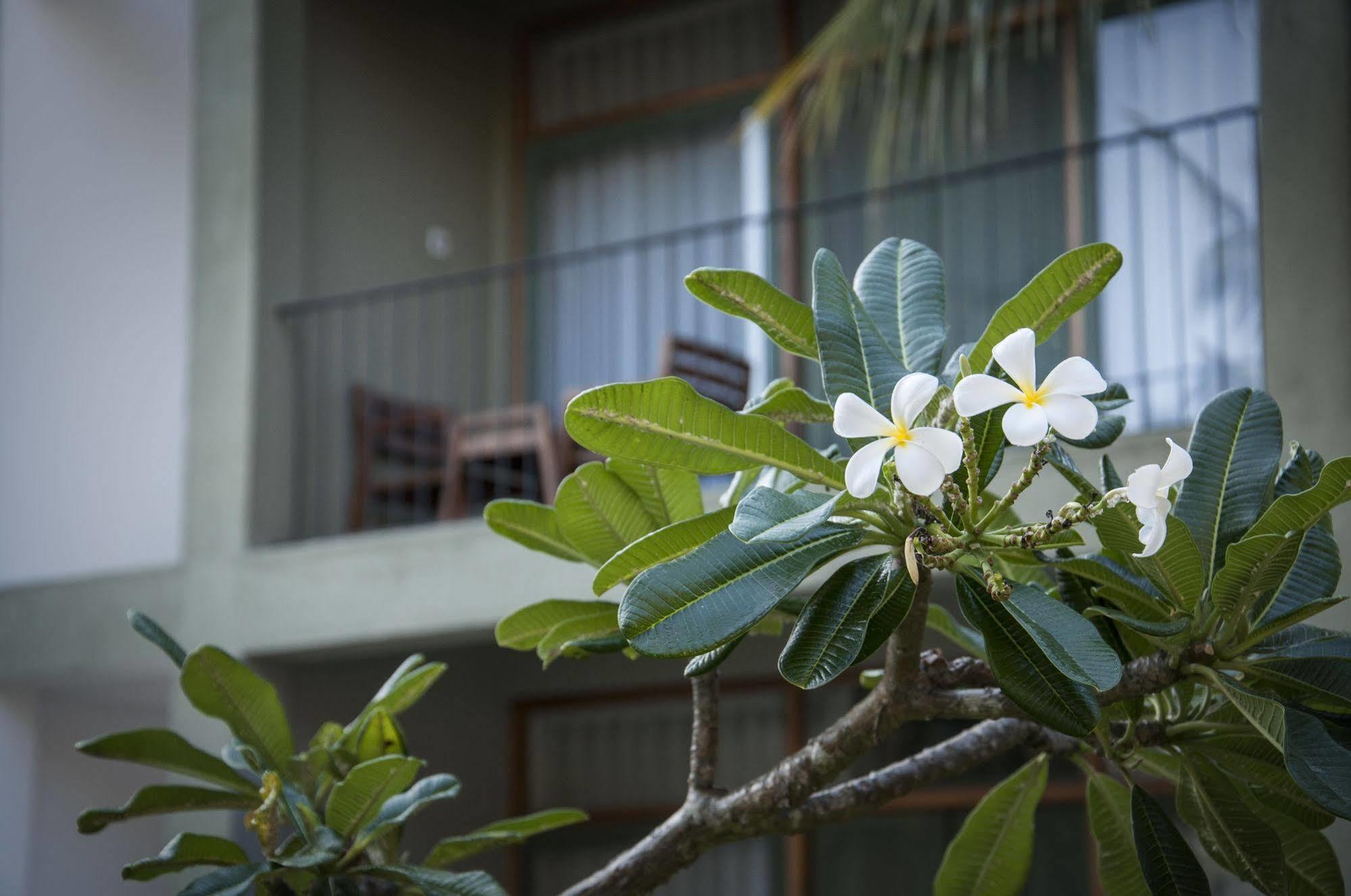 Hotel Fresco Water 5*